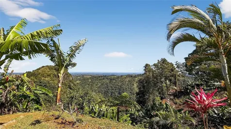 Alturitas Cacao Parcel B Orocovis PR 00720