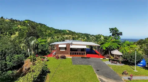 Alturitas Cacao Parcel B Orocovis PR 00720
