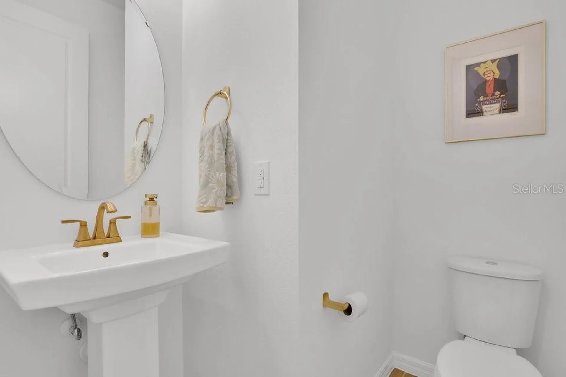 17723 Japonica Bloom Drive Winter Garden FL 34787
