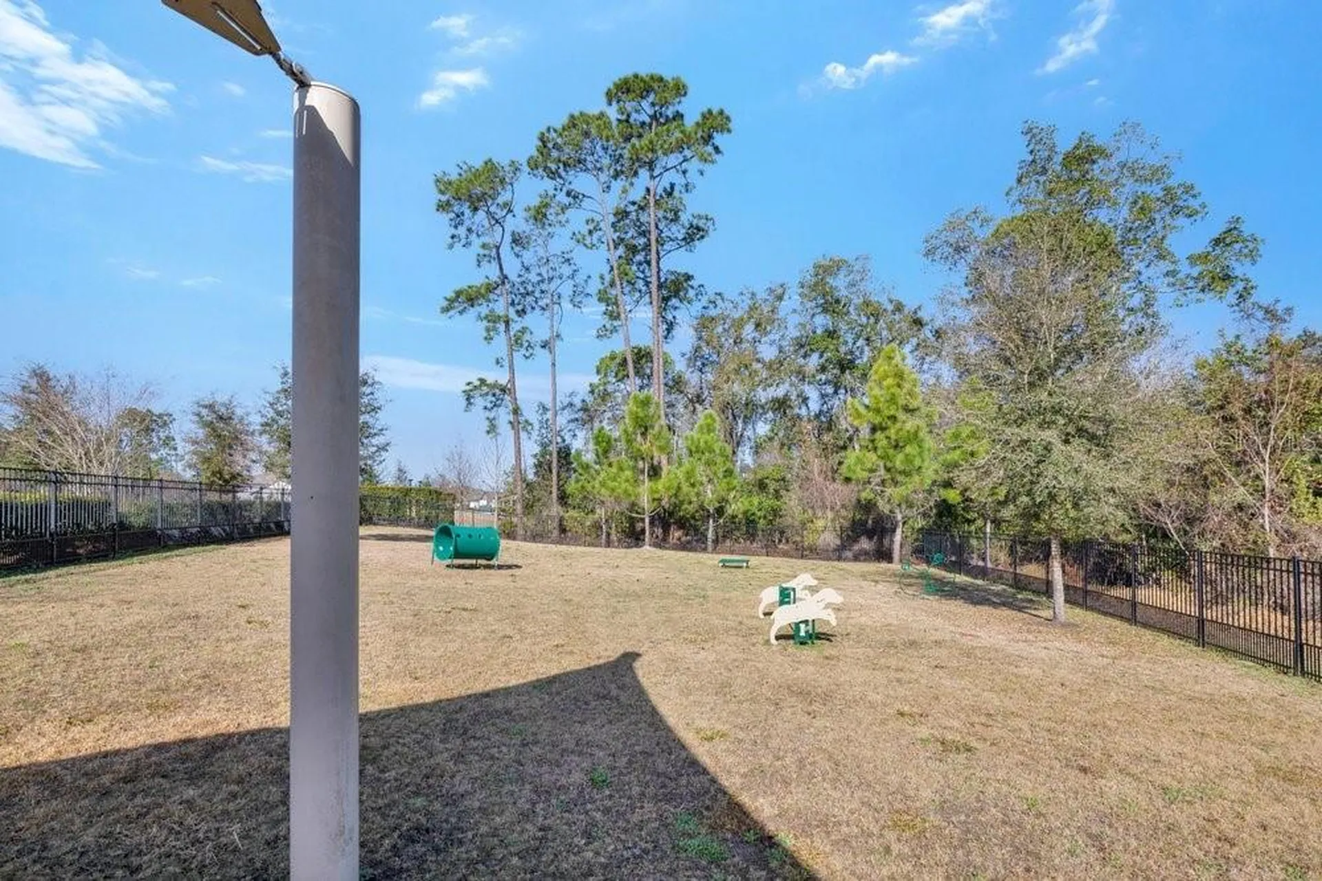 17723 Japonica Bloom Drive Winter Garden FL 34787