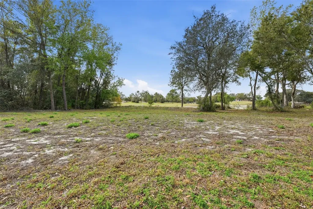 1339 N Old Mill Drive Deltona FL 32725