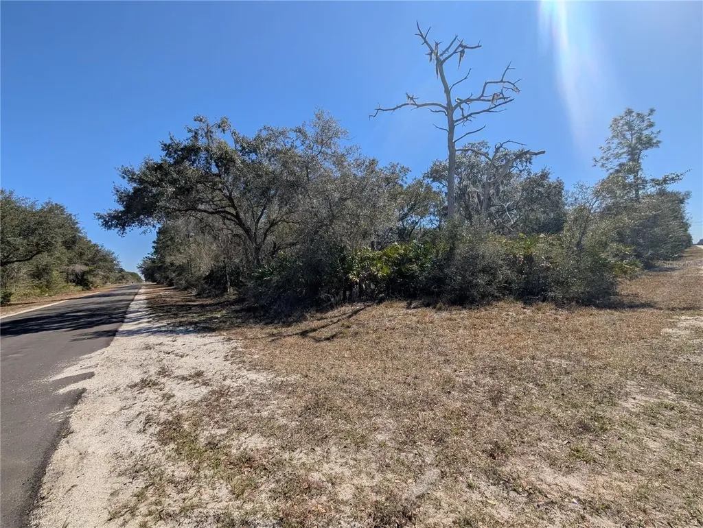923 Hibiscus Drive Indian Lake Estates FL 33855