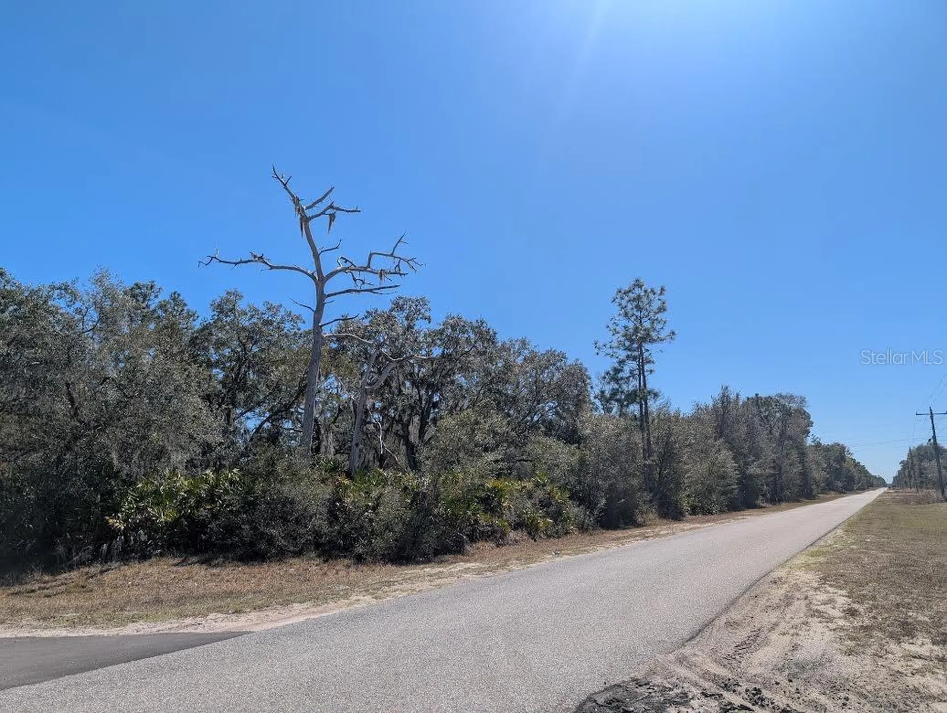 923 Hibiscus Drive Indian Lake Estates FL 33855
