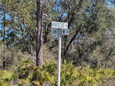 923 Hibiscus Drive Indian Lake Estates FL 33855