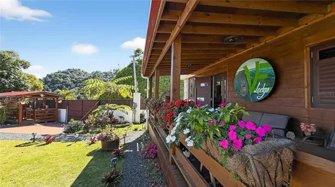 Parcel A Alturitas Collores Orocovis PR 00720