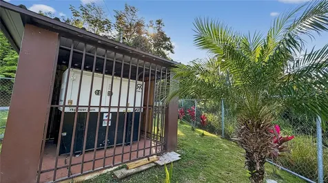 Parcel A Alturitas Collores Orocovis PR 00720