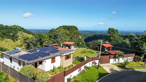 Parcel A Alturitas Collores Orocovis PR 00720