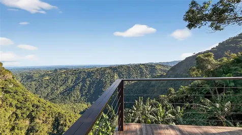 Parcel A Alturitas Collores Orocovis PR 00720