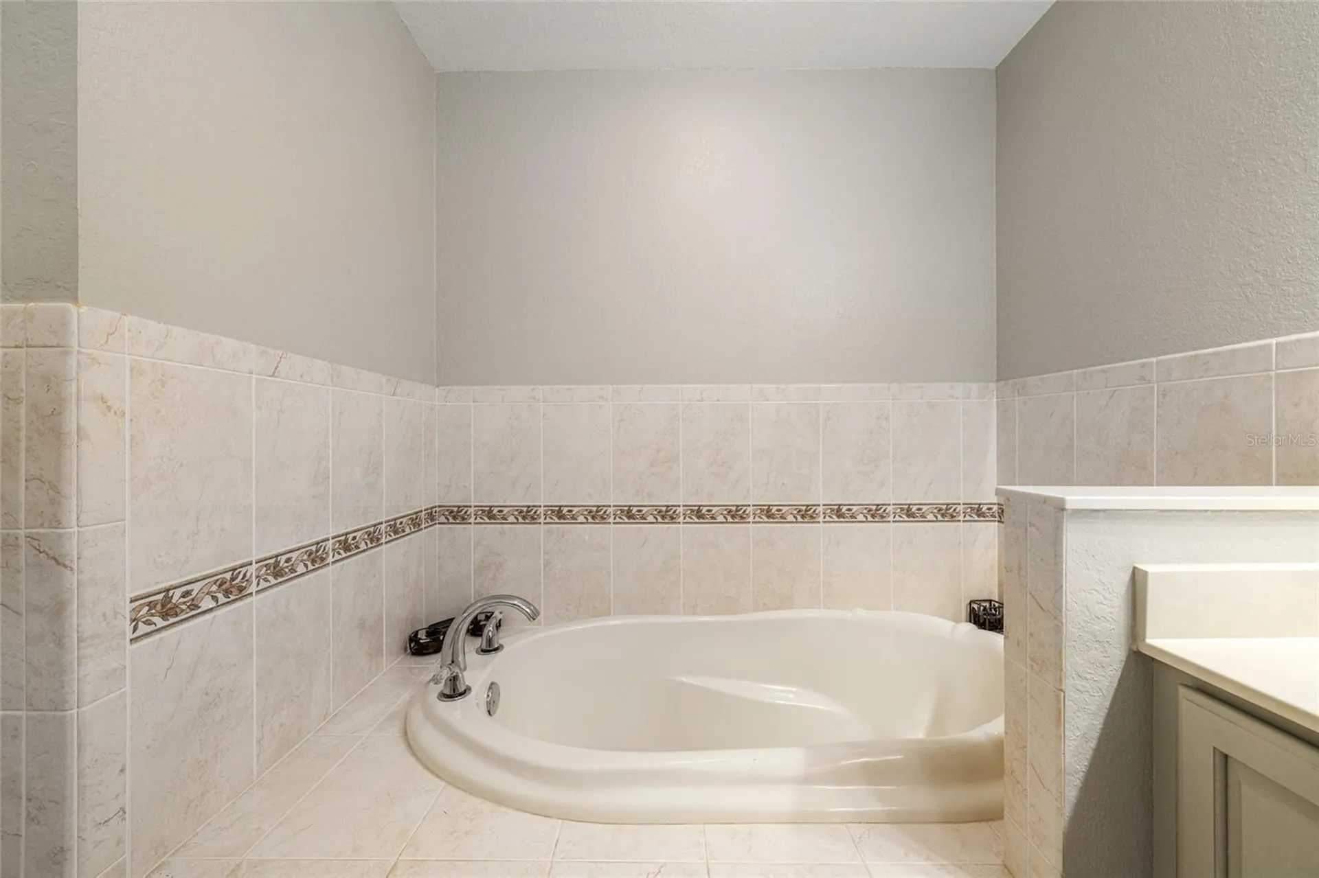 8645 SE 177th Grassmere Street The Villages FL 32162