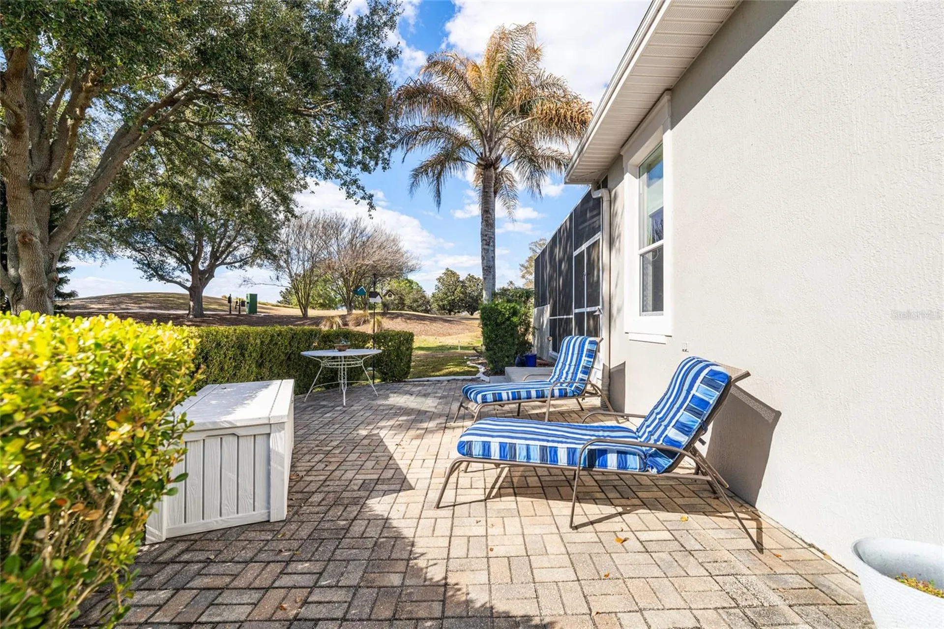 8645 SE 177th Grassmere Street The Villages FL 32162