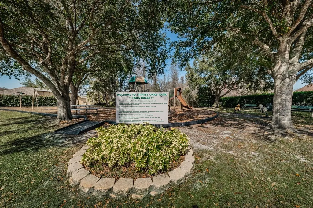 1014 Arlinbrook Drive Trinity FL 34655