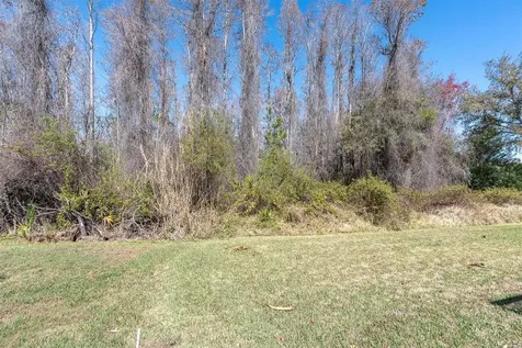 1014 Arlinbrook Drive Trinity FL 34655