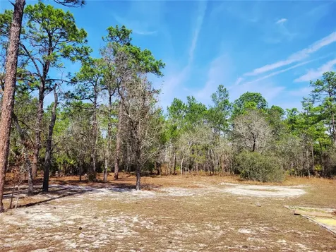 9153 Michigan Avenue Weeki Wachee FL 34613