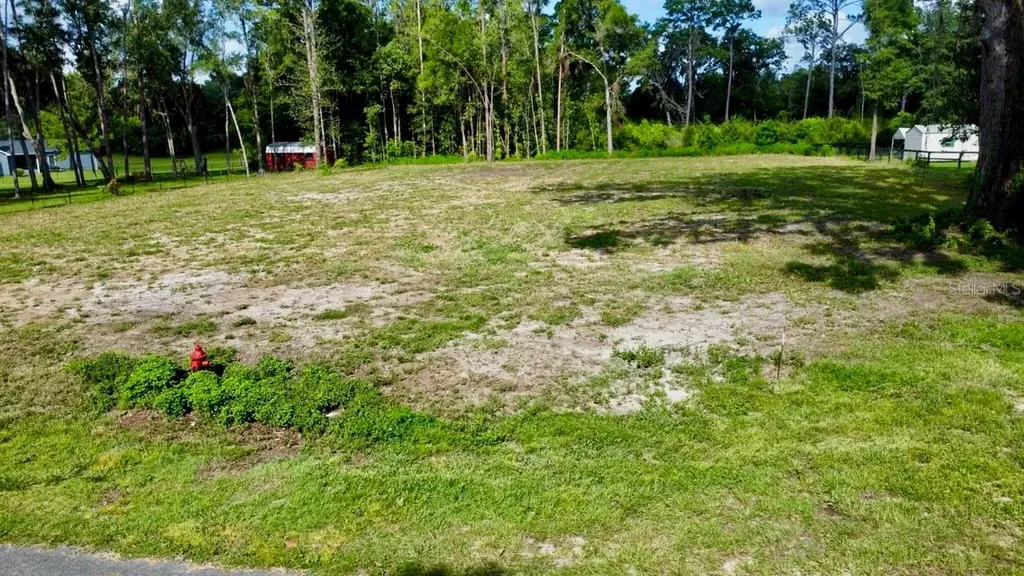 Tbd SW 9th Street Williston FL 32696