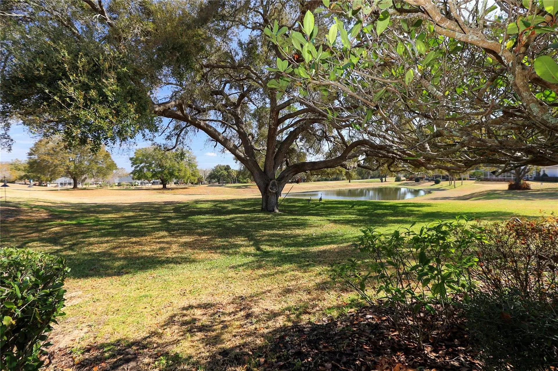 39644 Harbor Hills Boulevard Lady Lake FL 32159