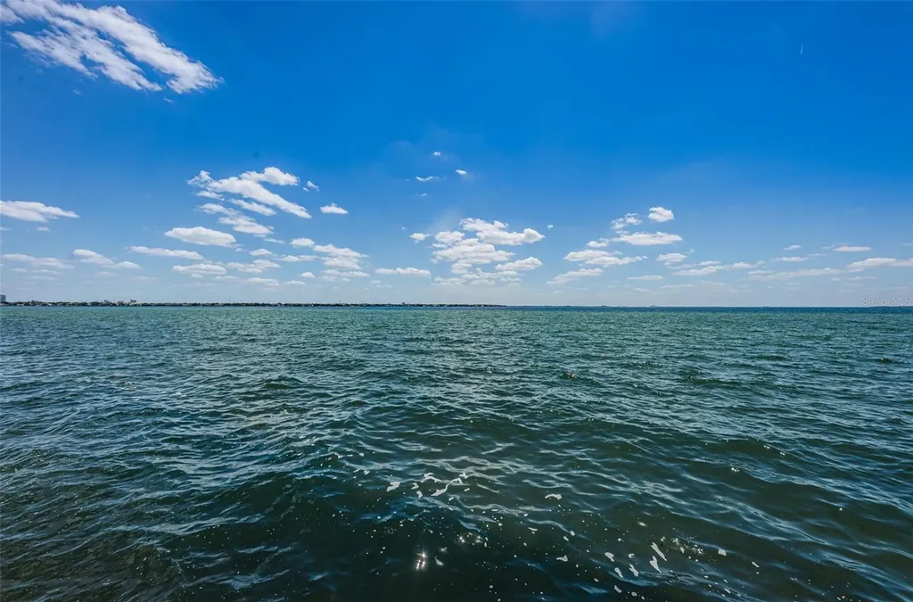 4811 Bayshore Boulevard Tampa FL 33611