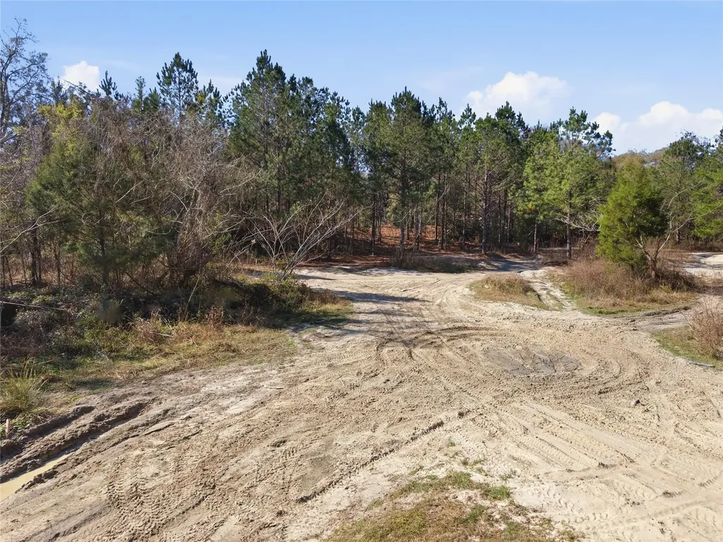 Lot 028 NE 164th Lane Citra FL 32113