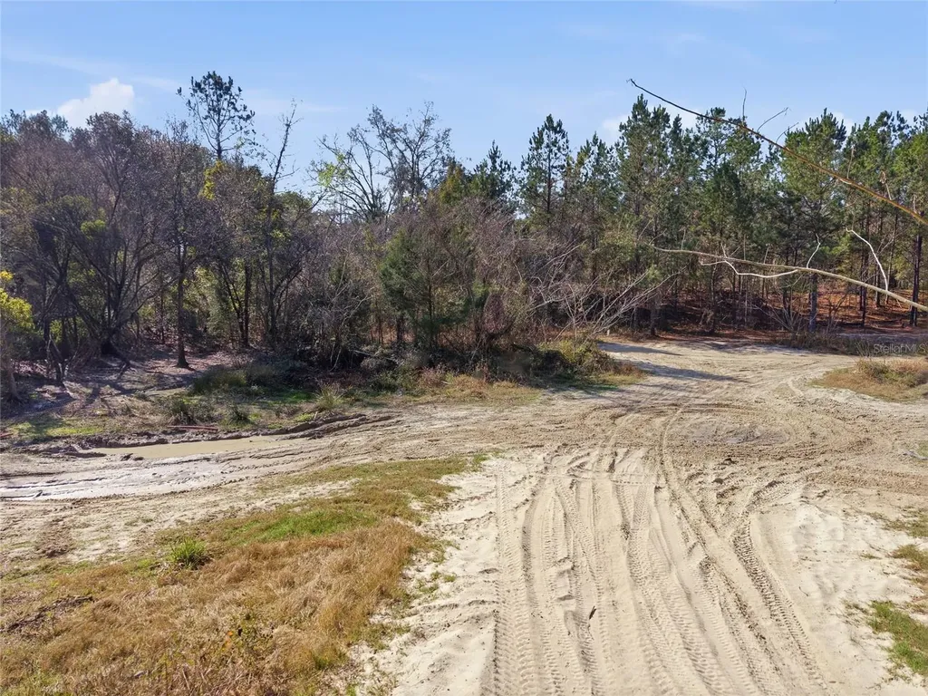 Lot 028 NE 164th Lane Citra FL 32113