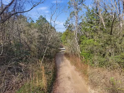 Lot 028 NE 164th Lane Citra FL 32113