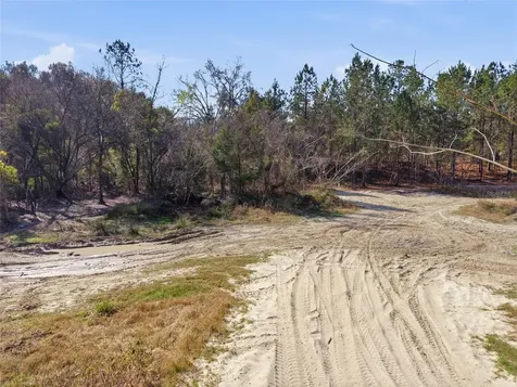 Lot 028 NE 164th Lane Citra FL 32113
