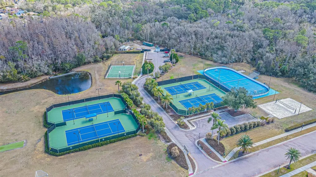 10859 Cory Lake Drive Tampa FL 33647