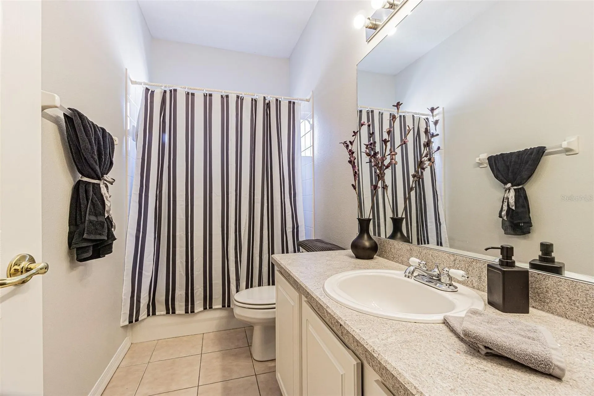 10859 Cory Lake Drive Tampa FL 33647