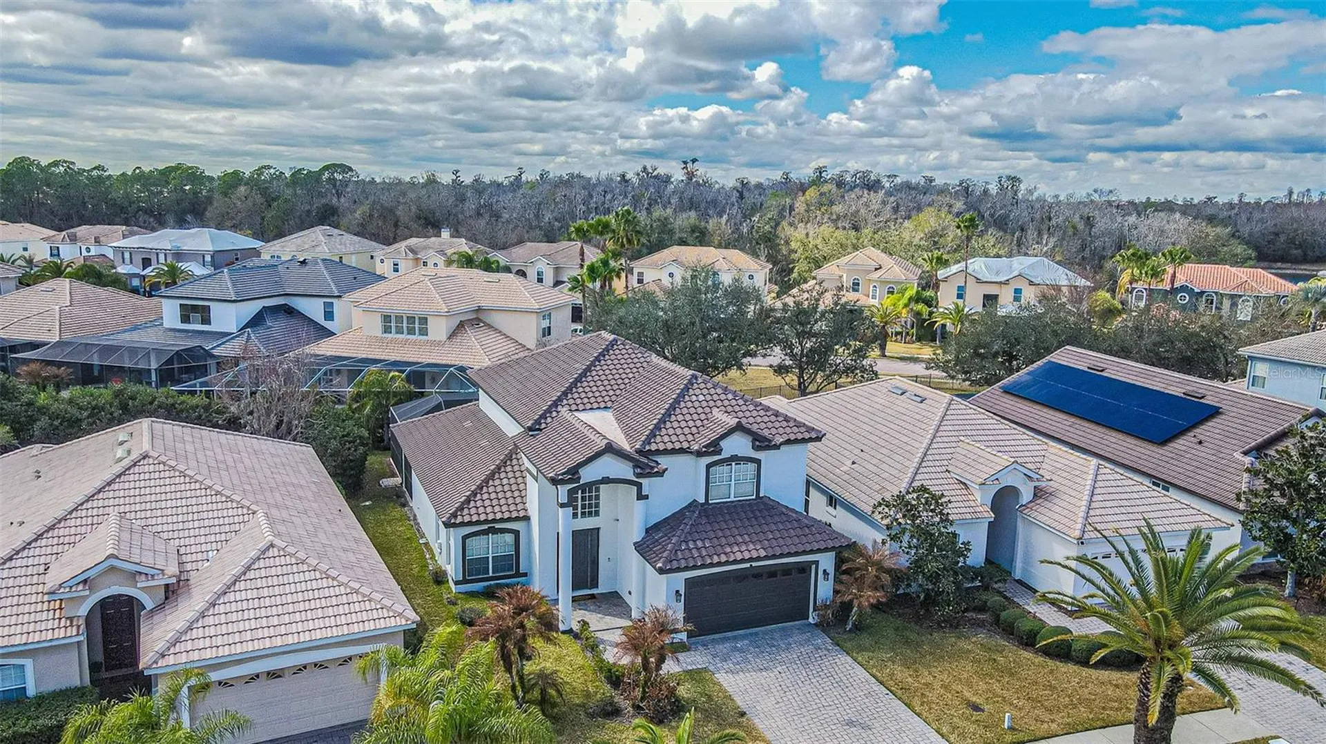 10859 Cory Lake Drive Tampa FL 33647