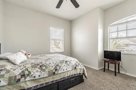 10859 Cory Lake Drive Tampa FL 33647
