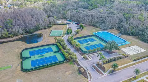 10859 Cory Lake Drive Tampa FL 33647