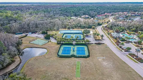 10859 Cory Lake Drive Tampa FL 33647