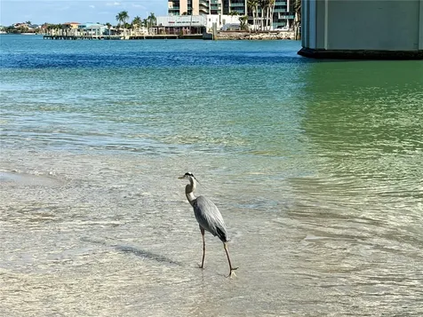 200 140th Avenue E Madeira Beach FL 33708