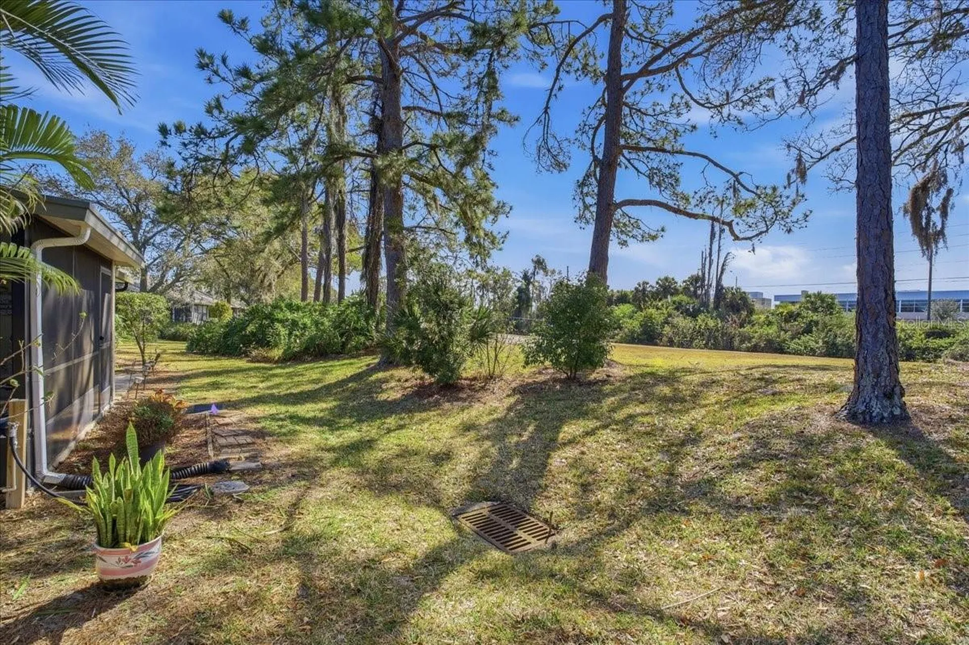 3272 Lori Lane New Port Richey FL 34655