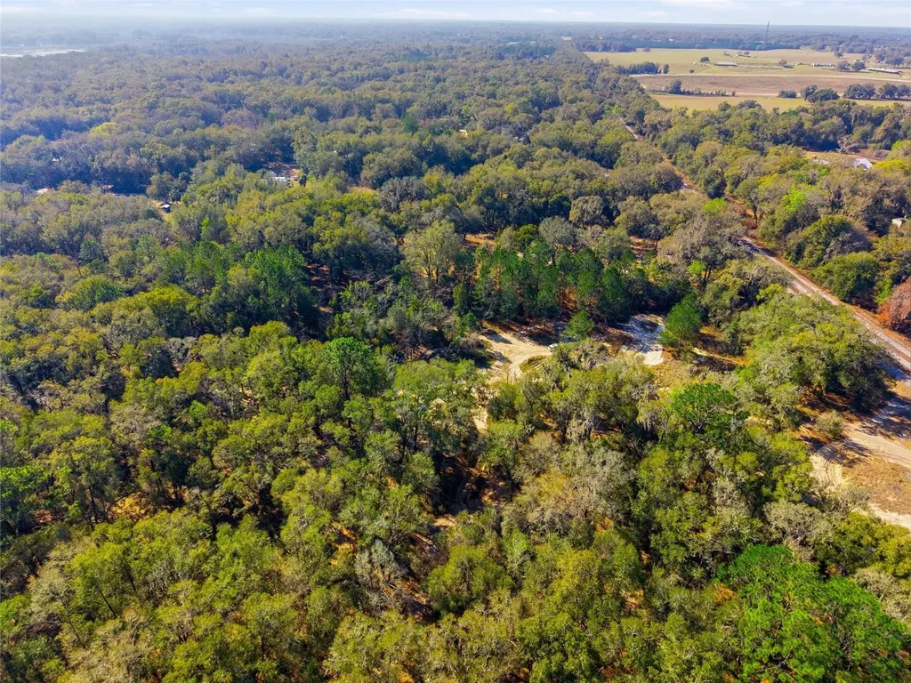 Lot 027 NE 164th Lane Citra FL 32113