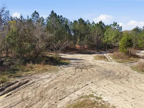 Lot 027 NE 164th Lane Citra FL 32113
