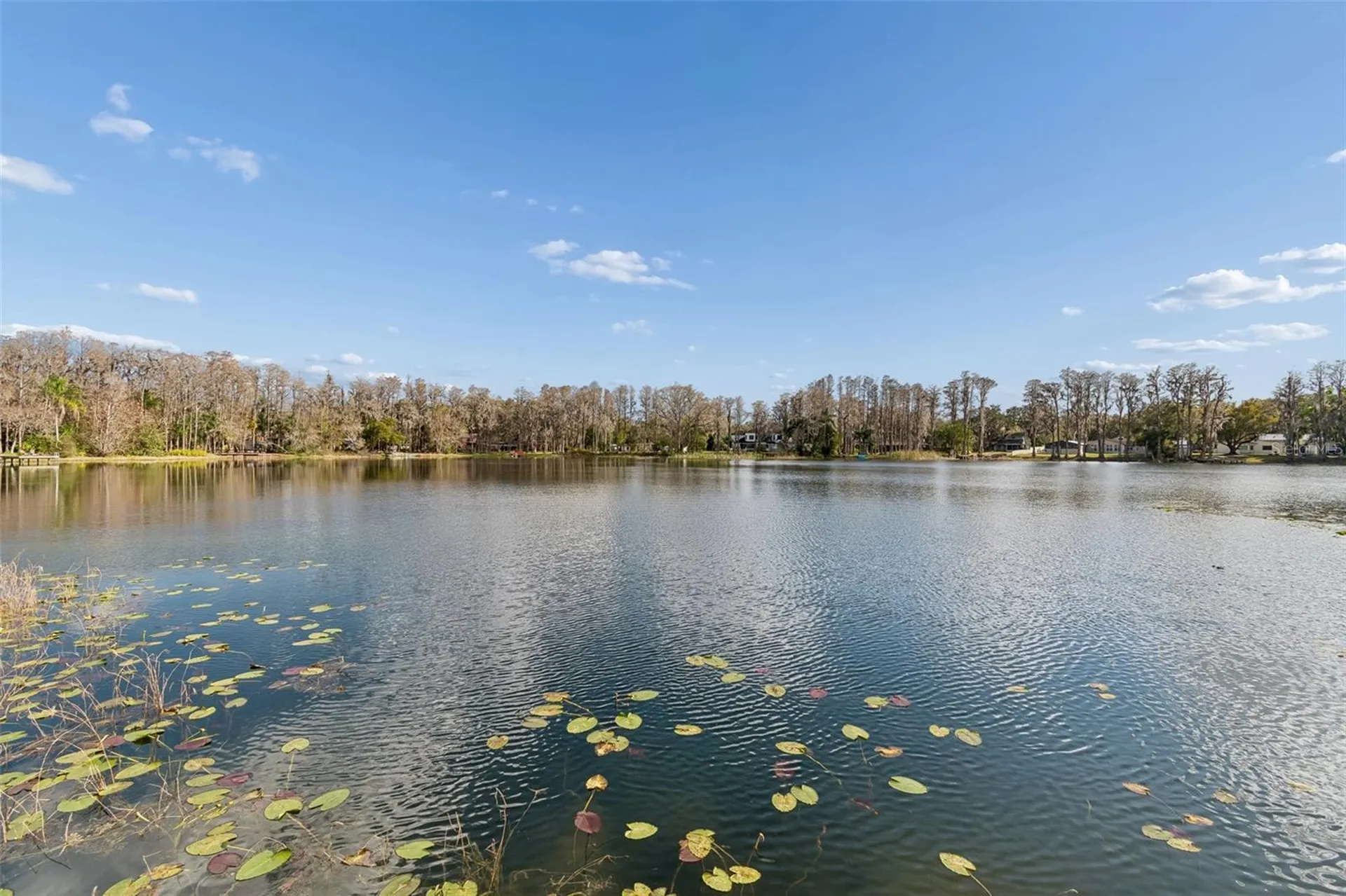 3812 Little Road Lutz FL 33548