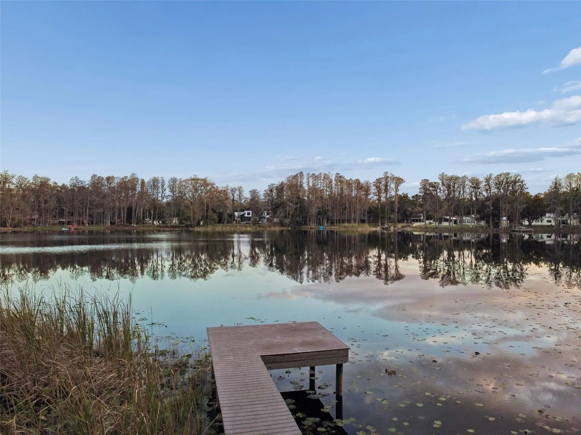 3812 Little Road Lutz FL 33548