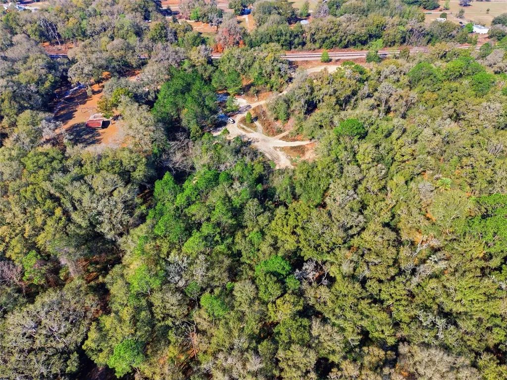 Lot 026 NE 164th Lane Citra FL 32113
