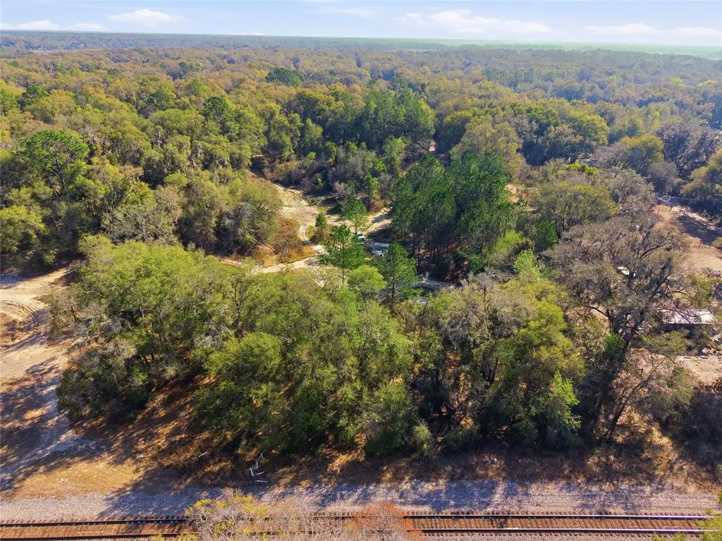Lot 026 NE 164th Lane Citra FL 32113