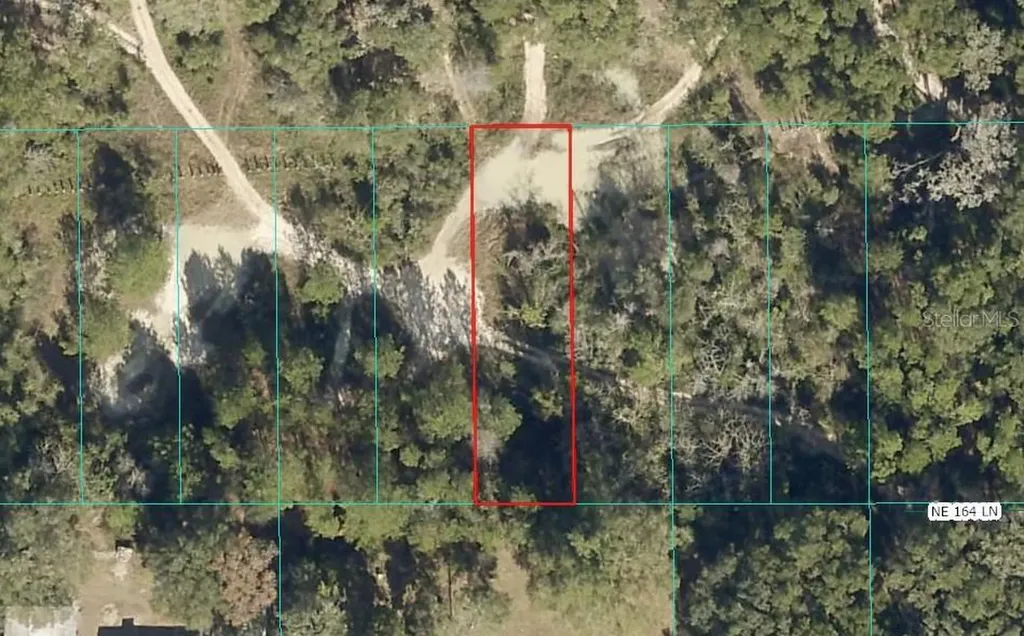 Lot 026 NE 164th Lane Citra FL 32113
