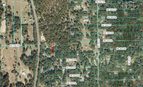 Lot 026 NE 164th Lane Citra FL 32113