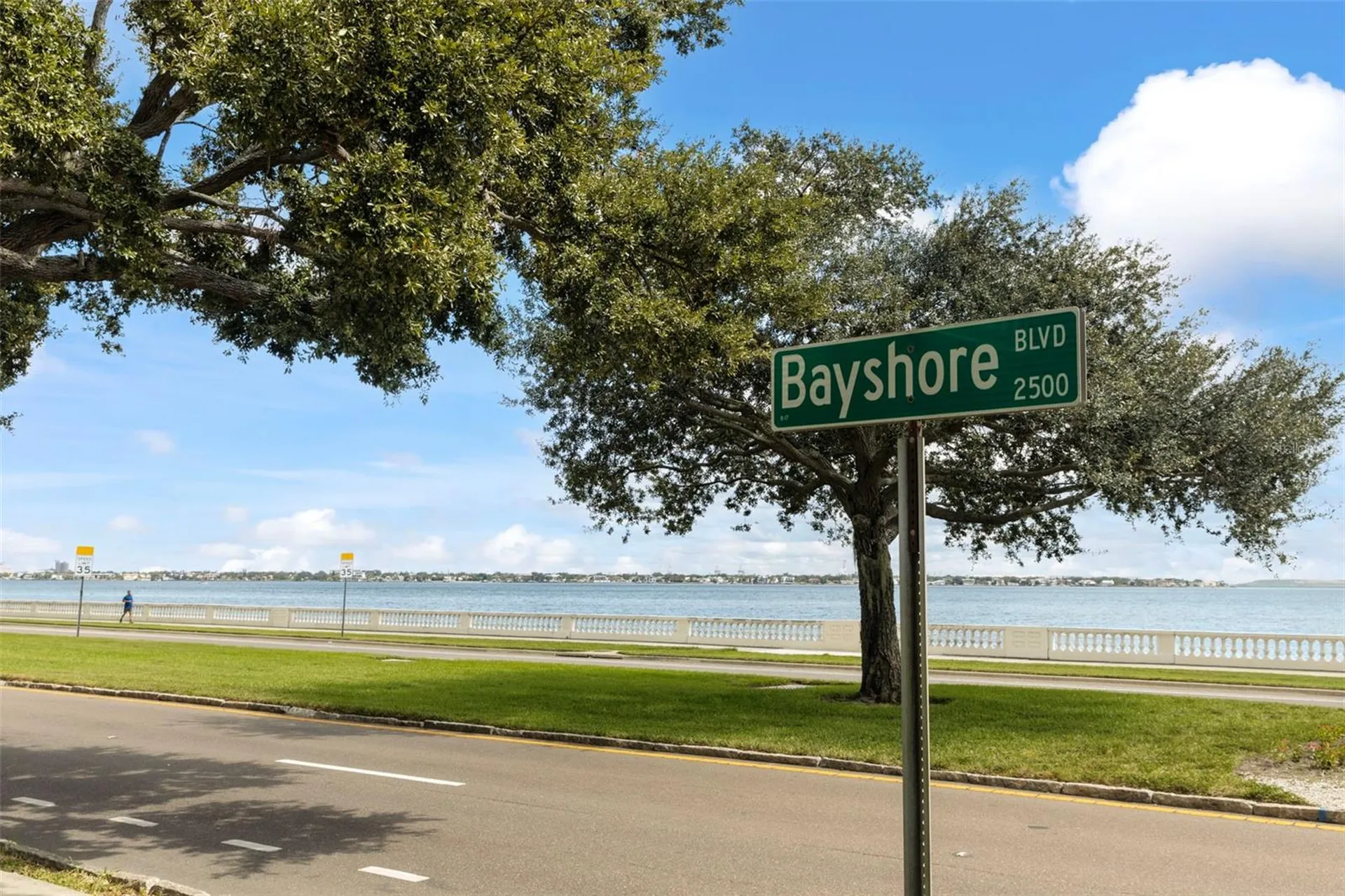 4141 Bayshore Boulevard Tampa FL 33611