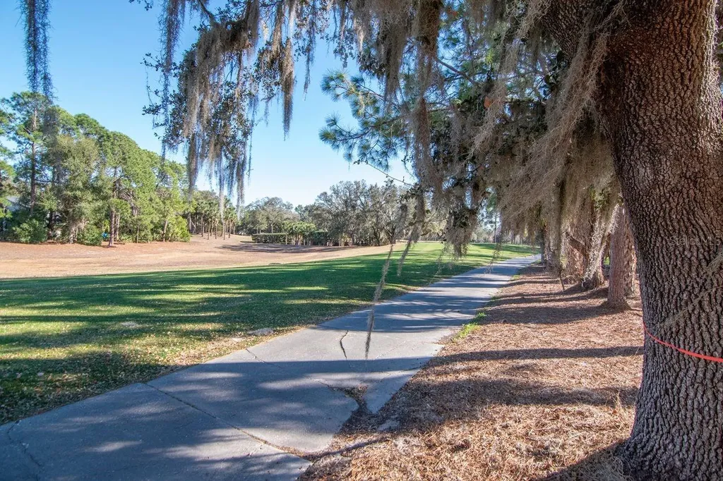 3910 Turkey Oak Drive Valrico FL 33596