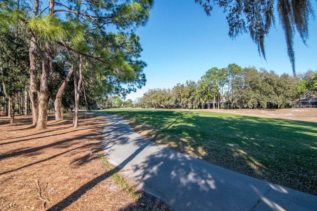 3910 Turkey Oak Drive Valrico FL 33596