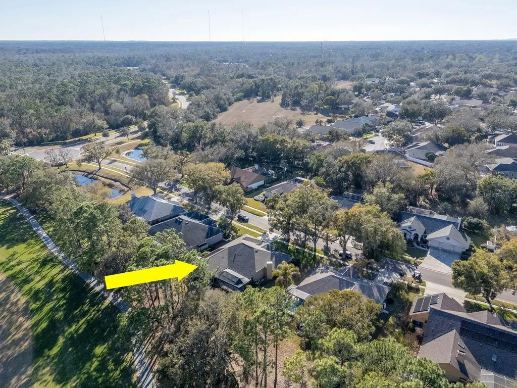 3910 Turkey Oak Drive Valrico FL 33596