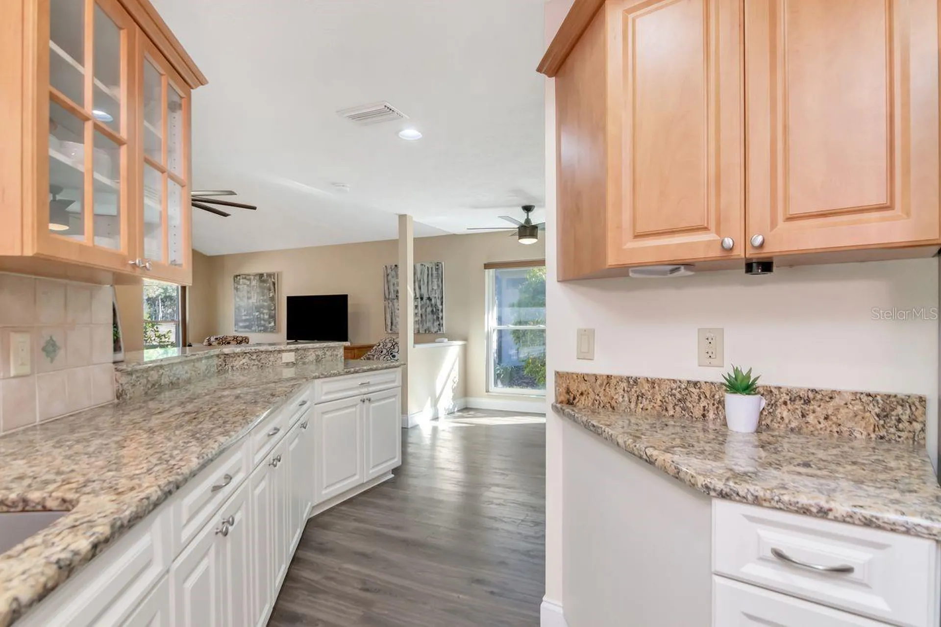 3910 Turkey Oak Drive Valrico FL 33596