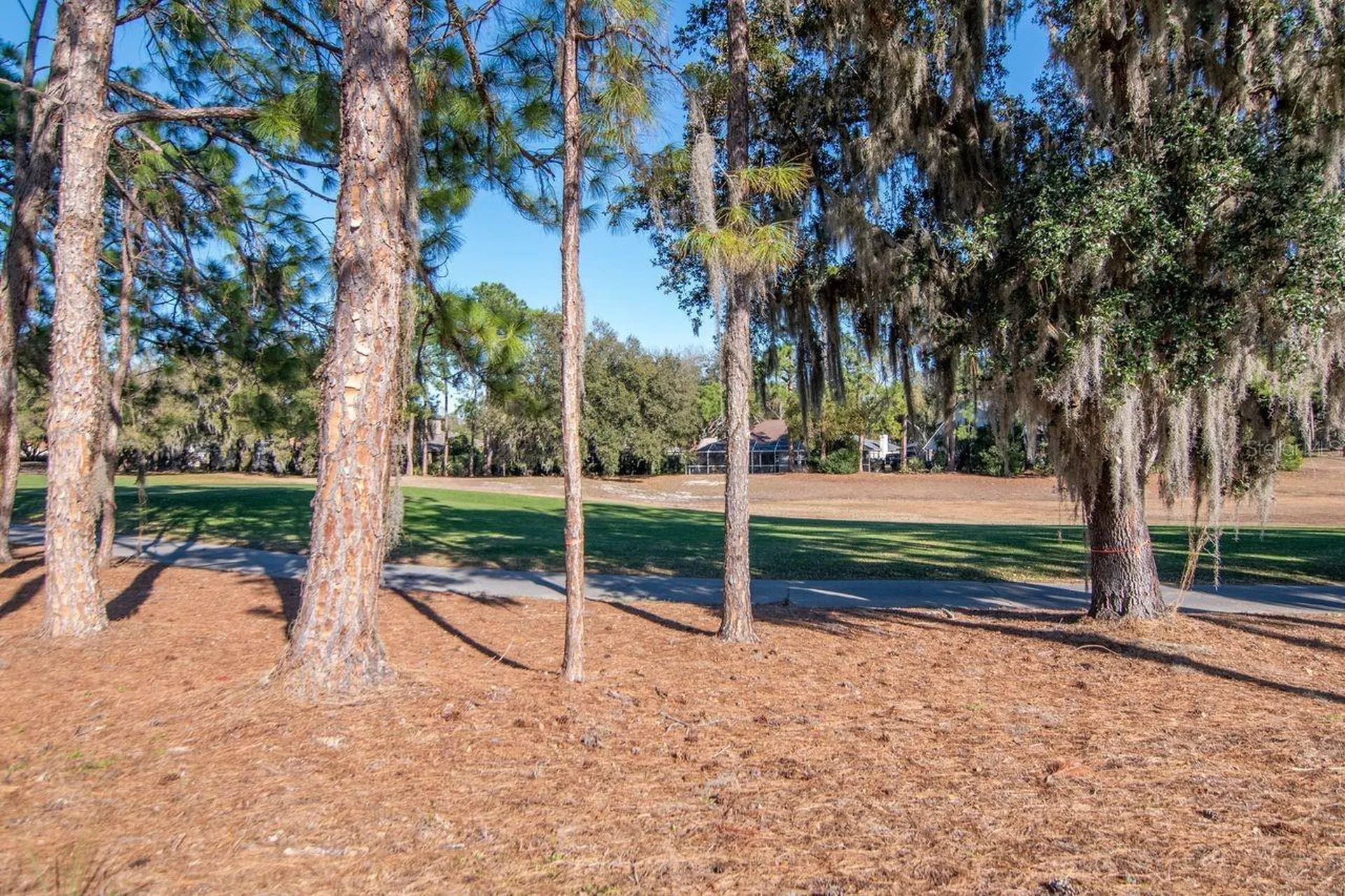 3910 Turkey Oak Drive Valrico FL 33596
