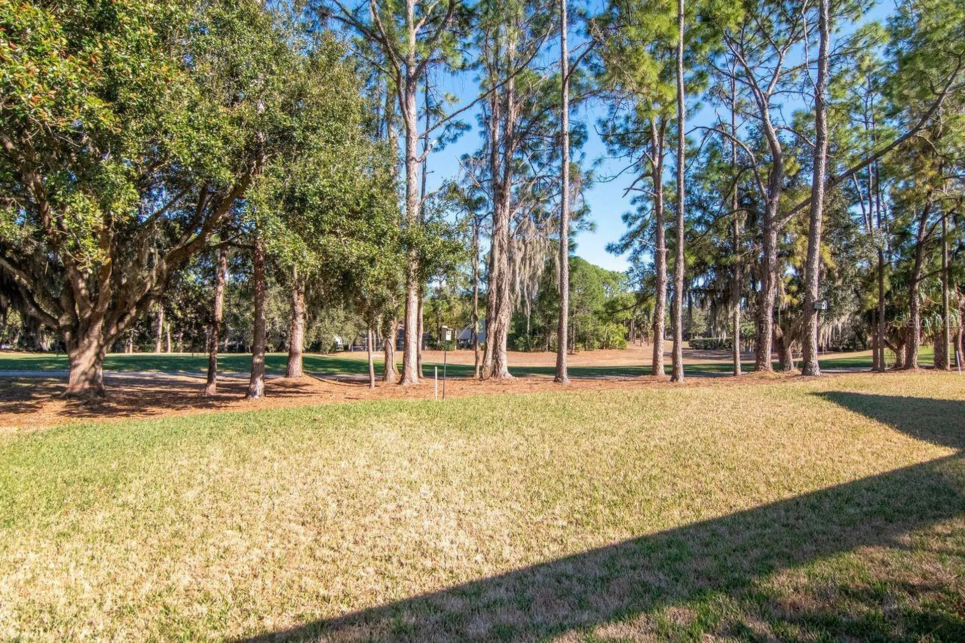 3910 Turkey Oak Drive Valrico FL 33596