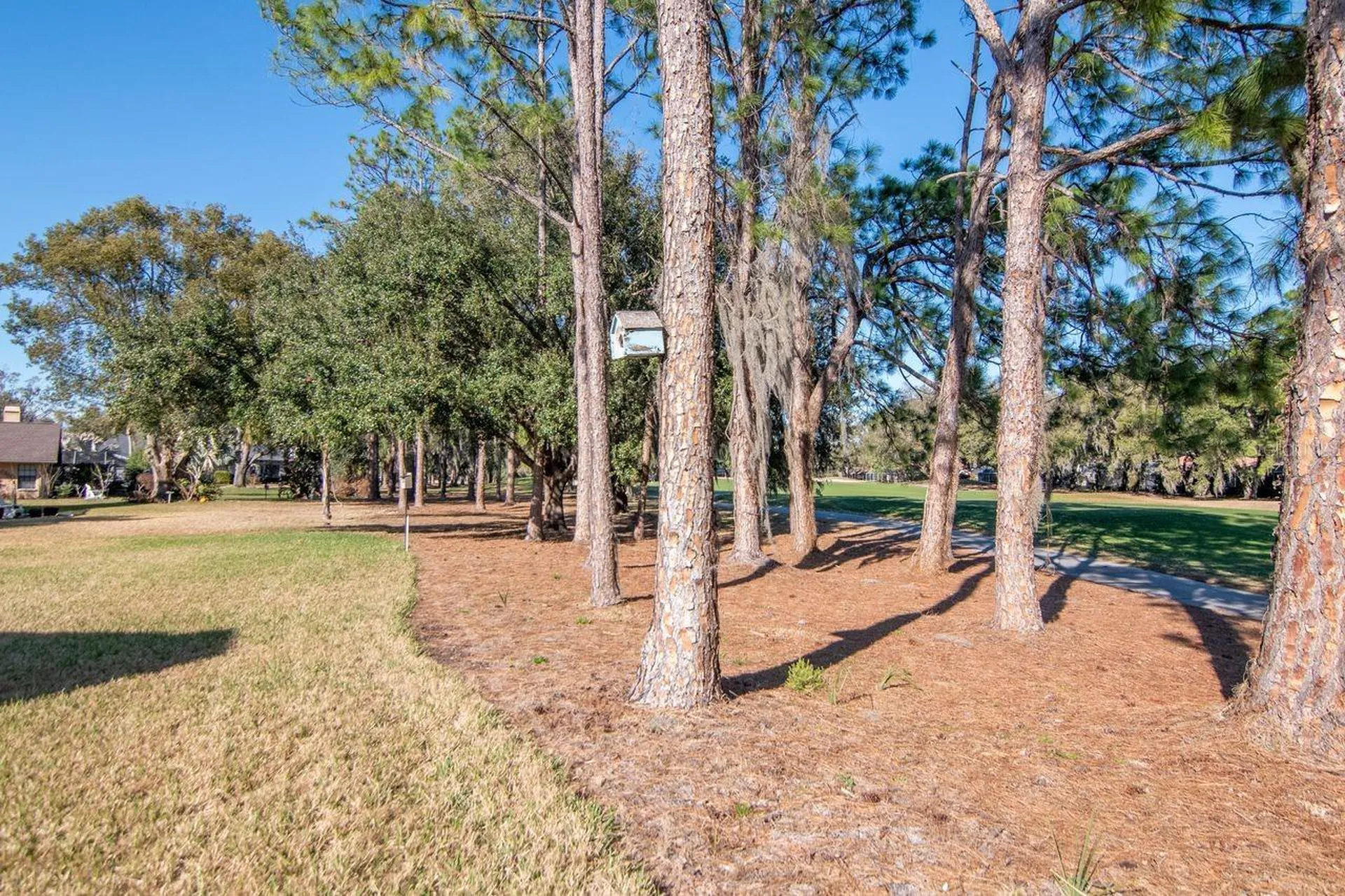 3910 Turkey Oak Drive Valrico FL 33596