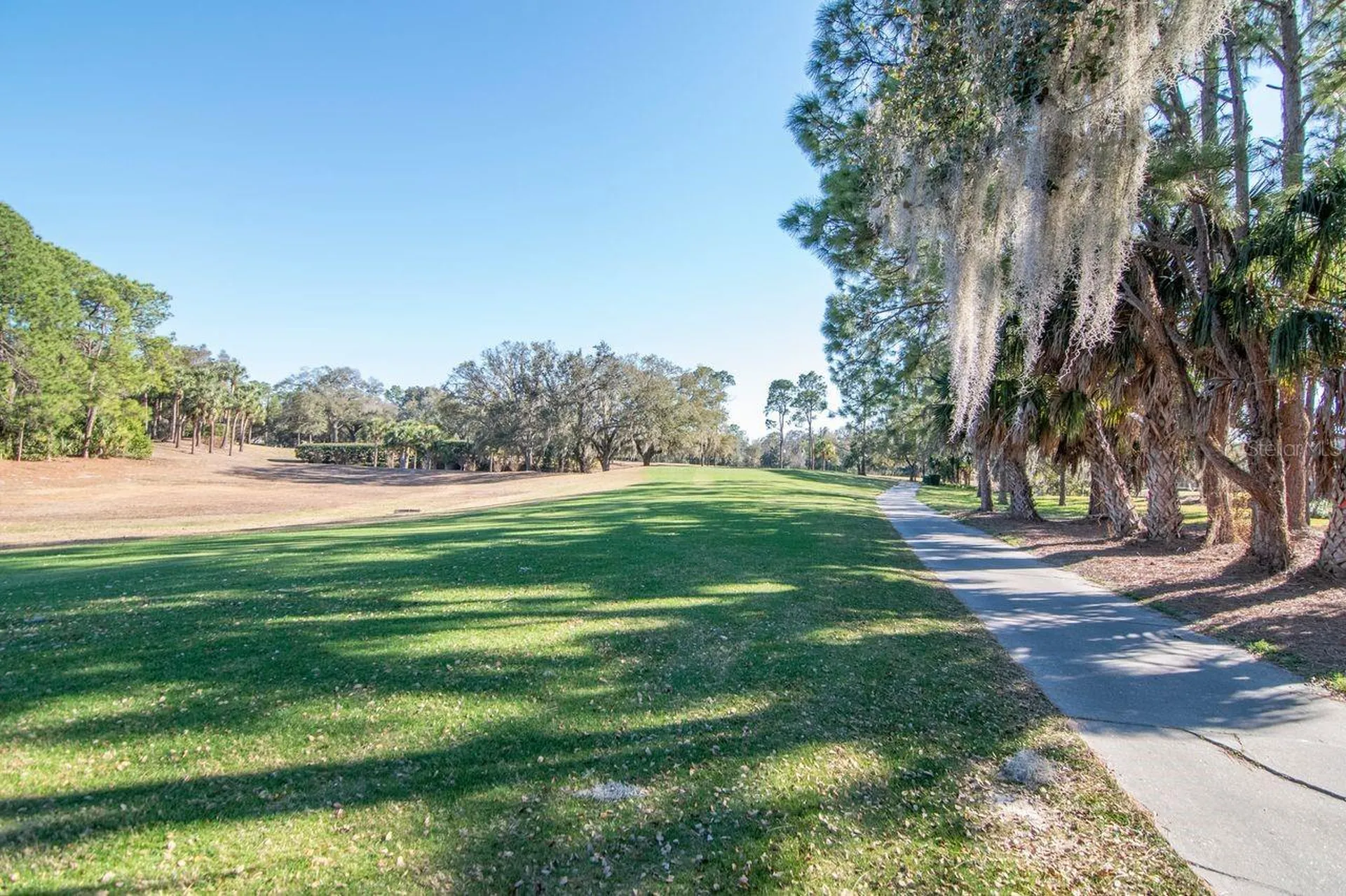 3910 Turkey Oak Drive Valrico FL 33596
