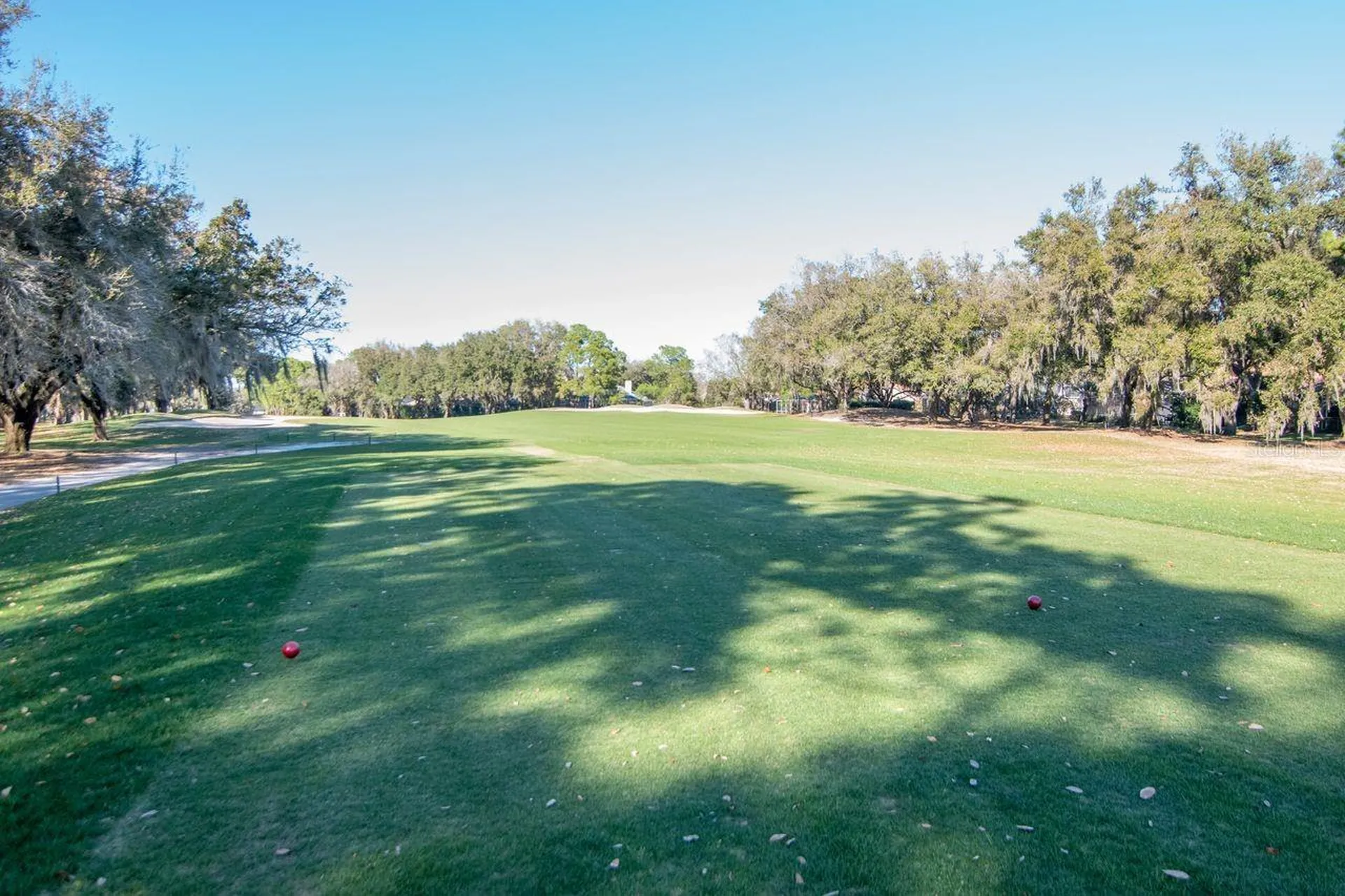 3910 Turkey Oak Drive Valrico FL 33596
